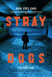 Stray Dogs